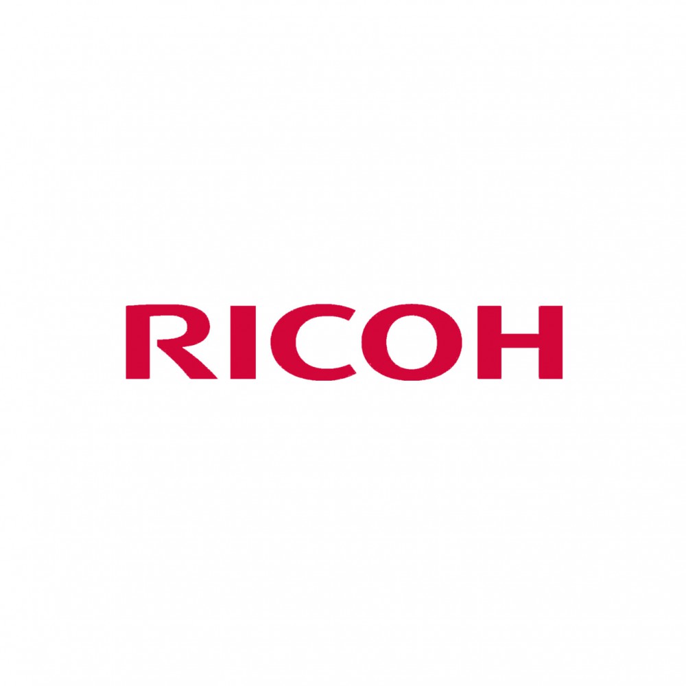 Ricoh Plaque (414213)